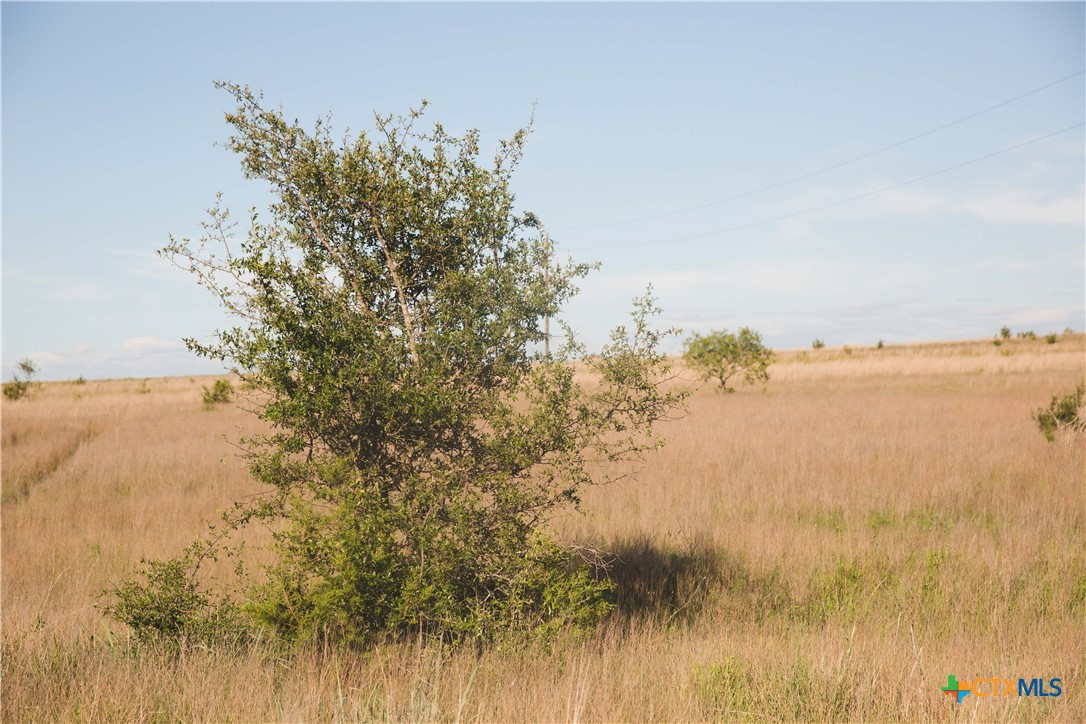 Lot 9 County Road 2109