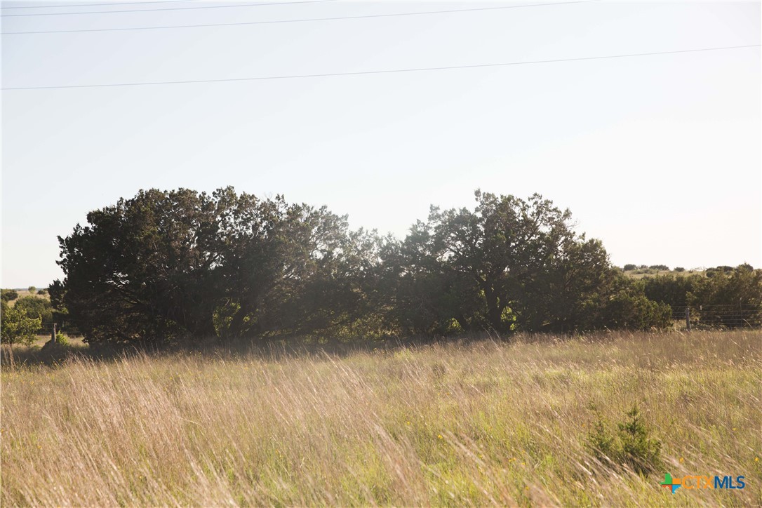 Lot 9 County Road 2109