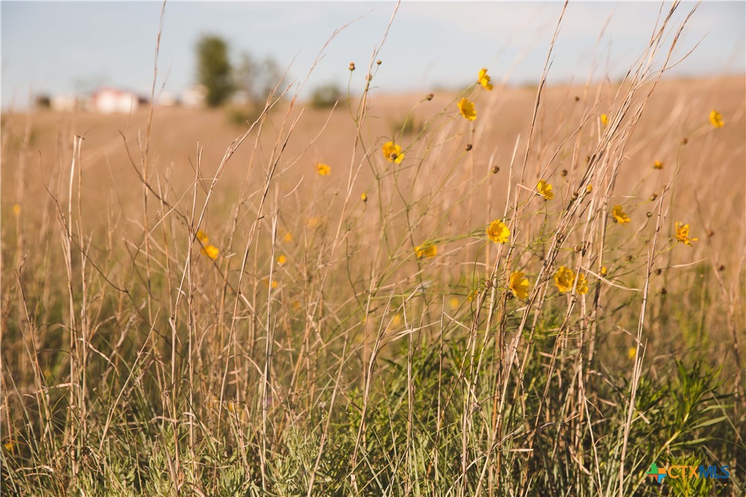 Lot 9 County Road 2109