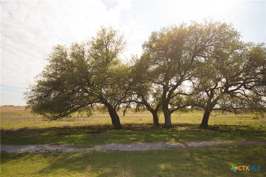 1843 Savanna Ridge Ranch Road