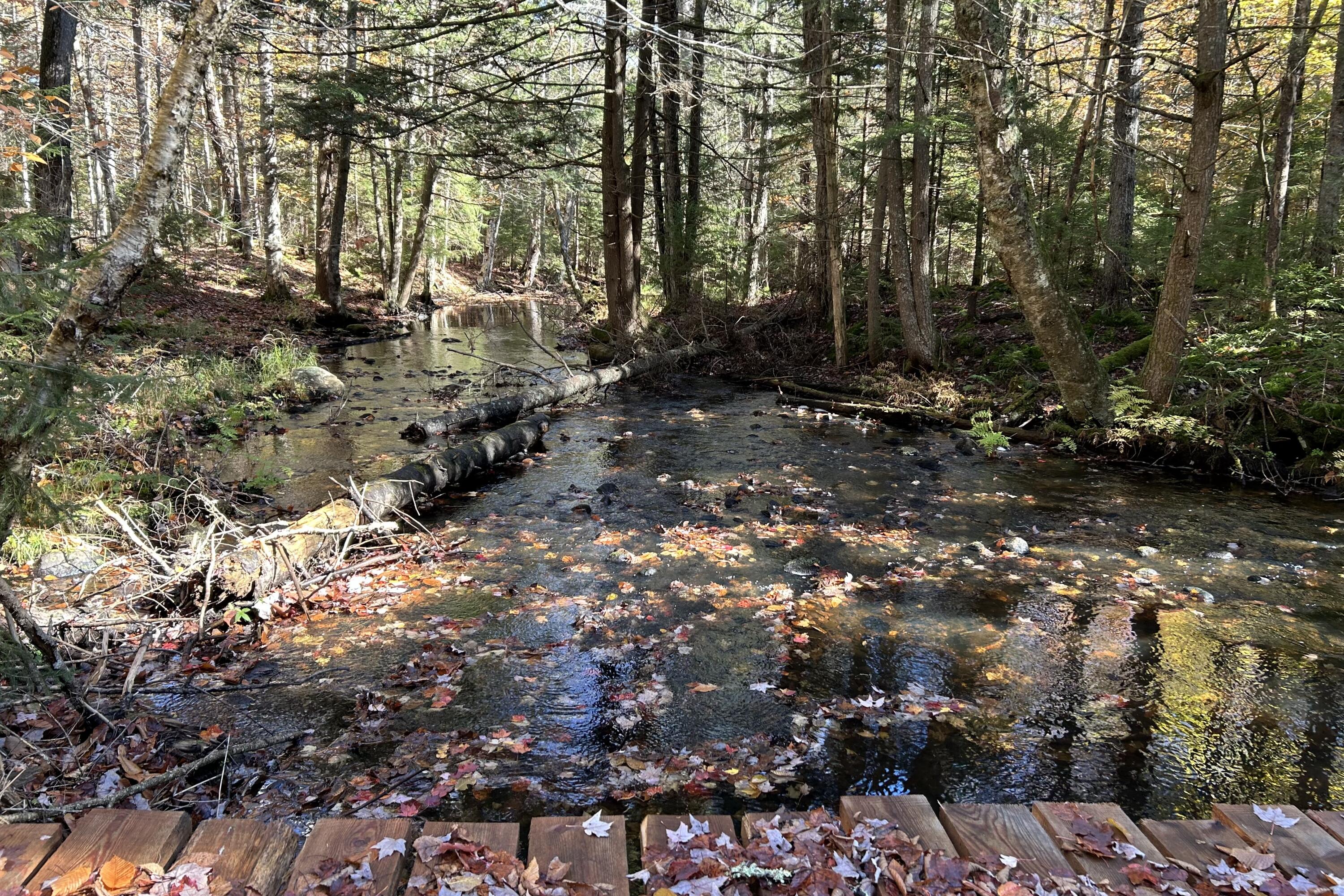 376 State Rt 28