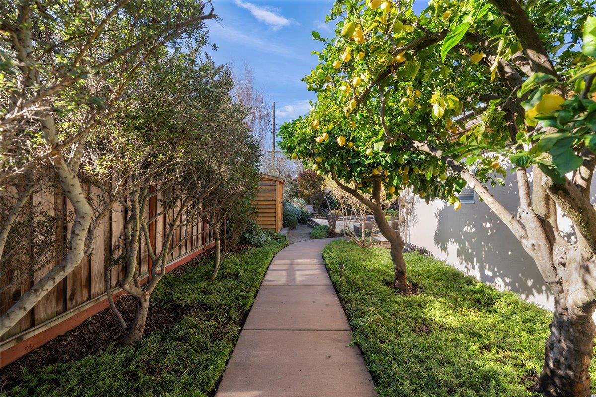 1975 Meridian Avenue