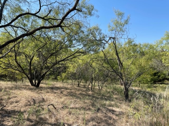 5349 County Road 1200