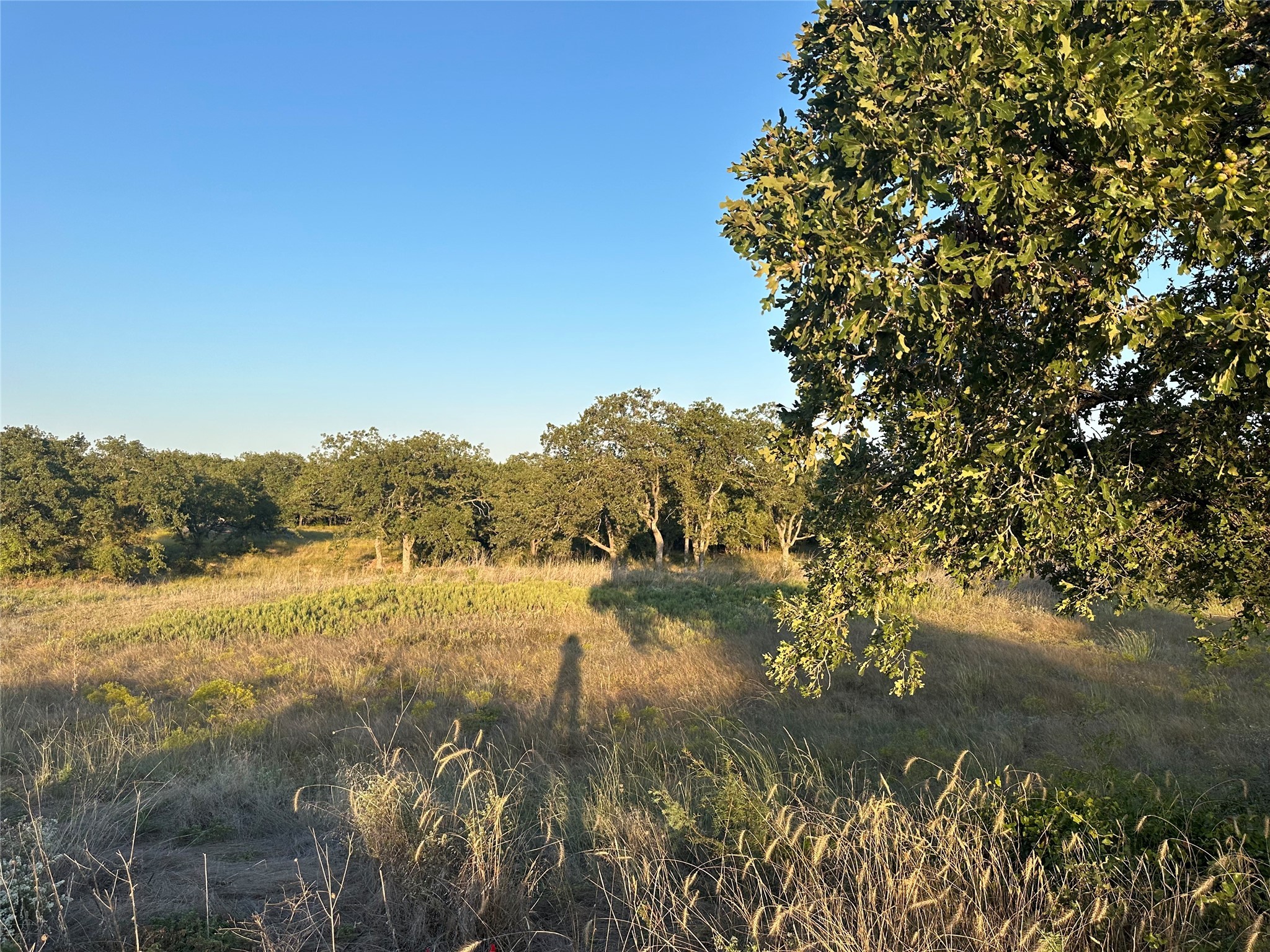157 Oaks Court