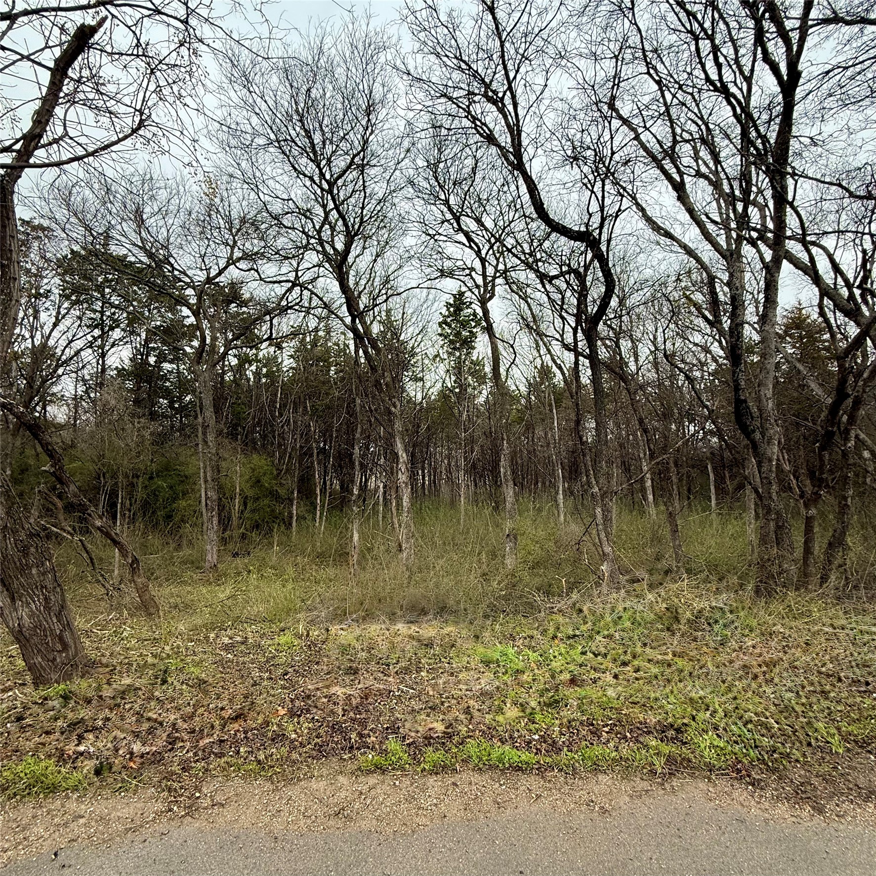 3203 Persimmon Road