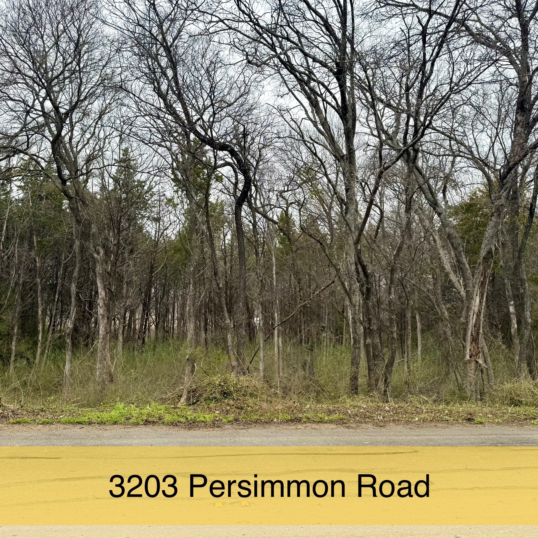 3203 Persimmon Road