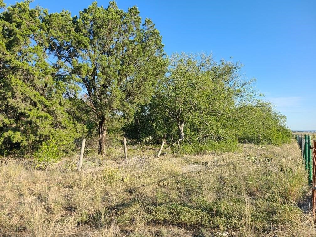 TBD CR 406