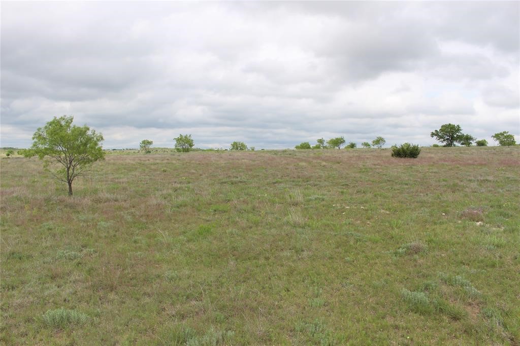 310 County Road 621