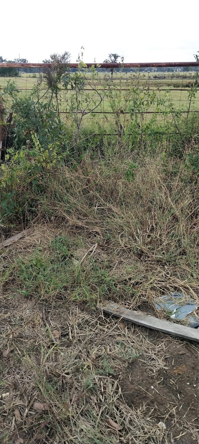 11082 County Road 133