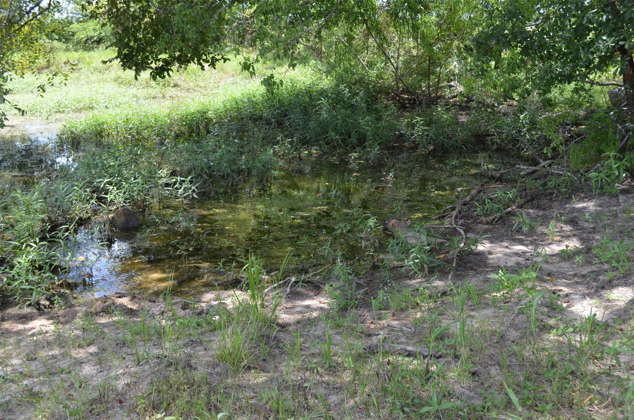 11082 County Road 133