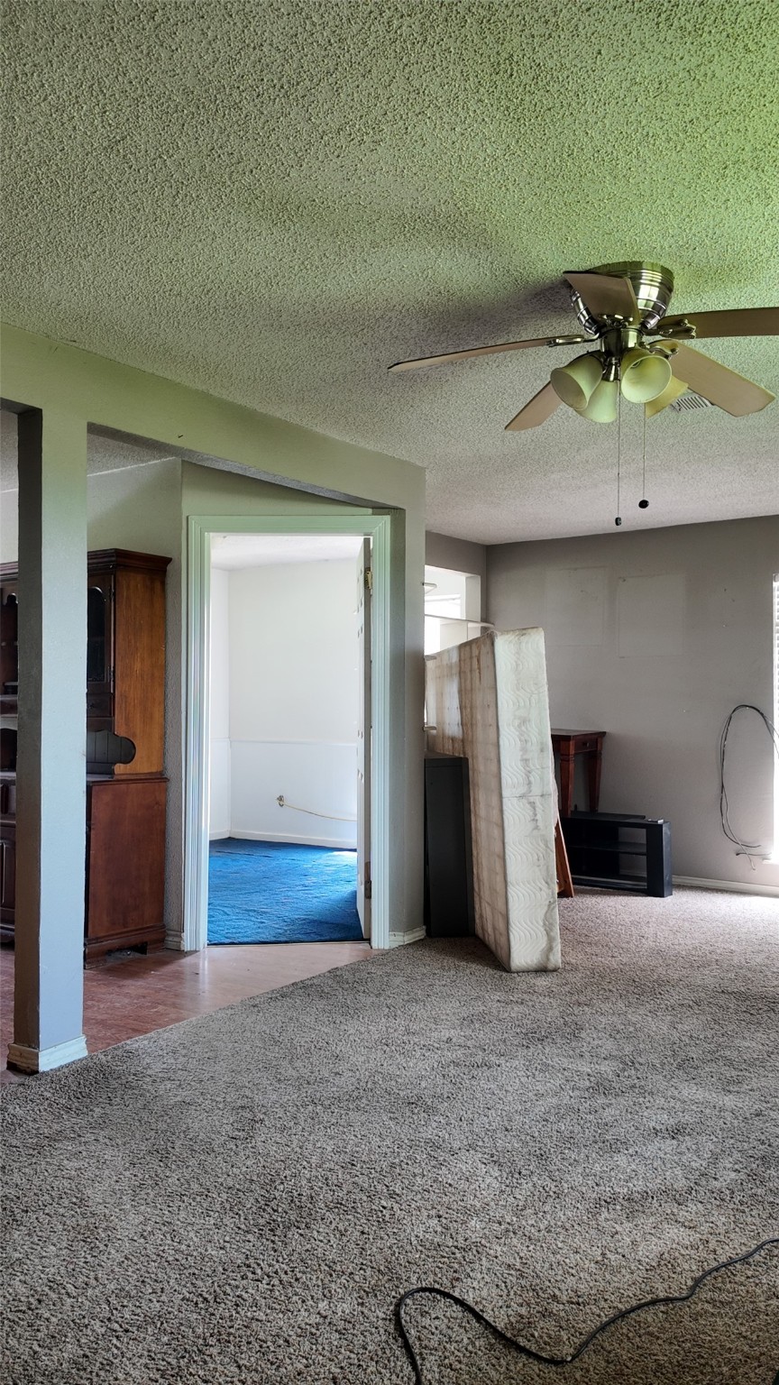 11082 County Road 133
