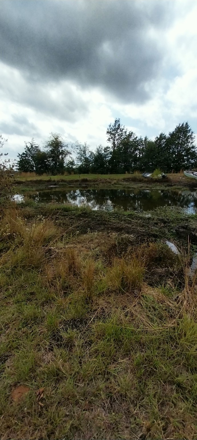 11082 County Road 133