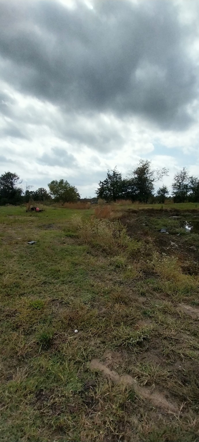 11082 County Road 133