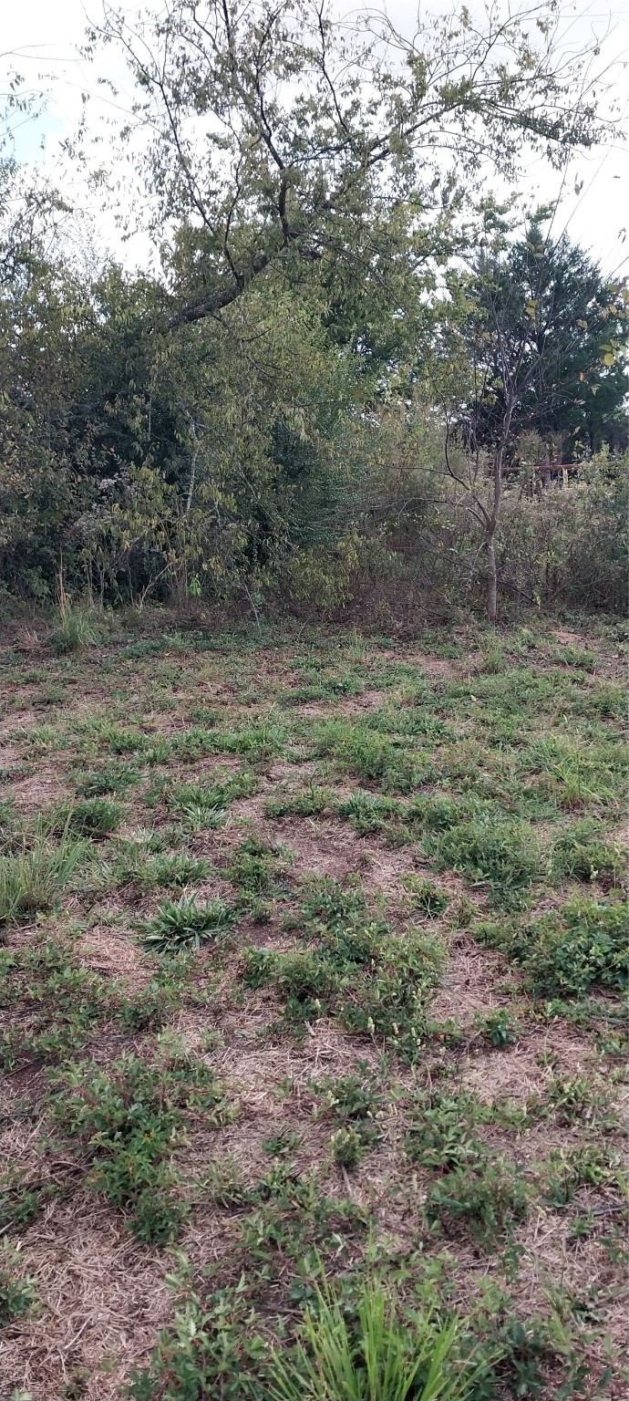 11082 County Road 133