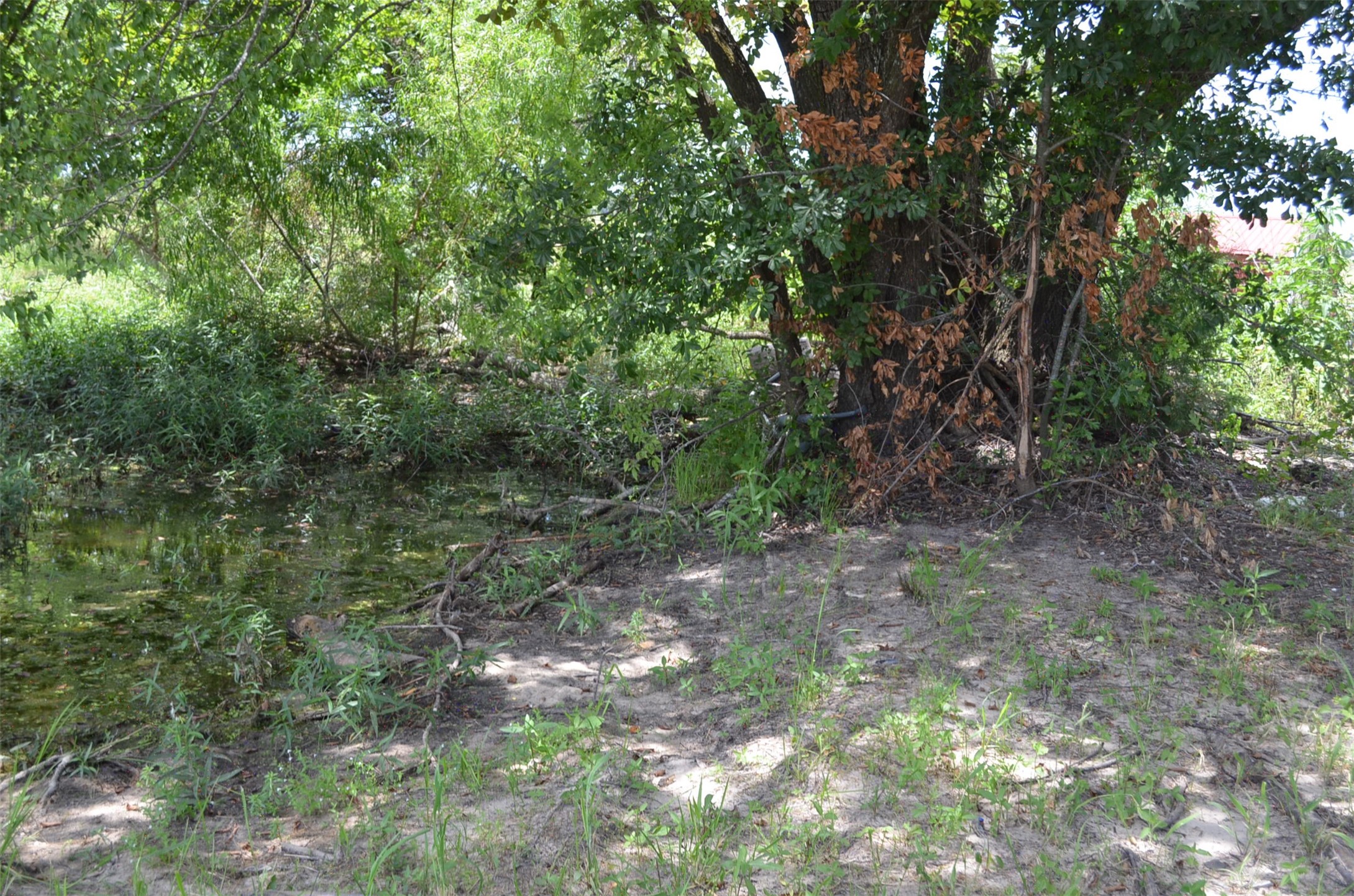 11082 County Road 133