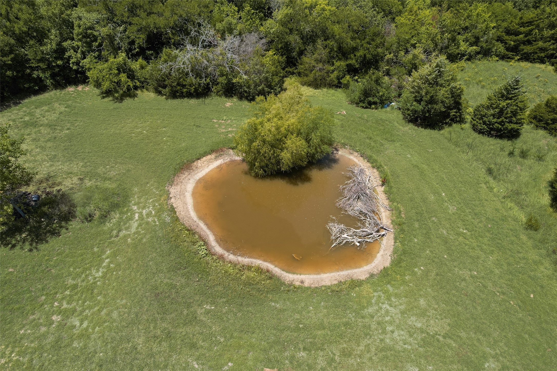 5546 County Road 547