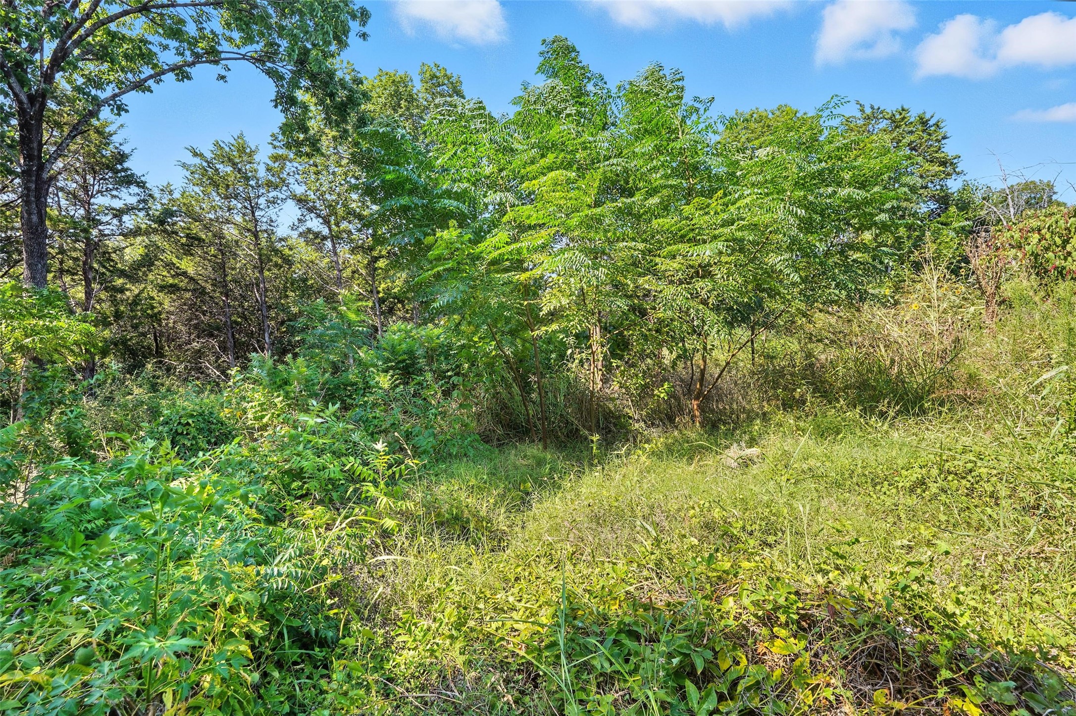 3001 Simpson Stuart Road