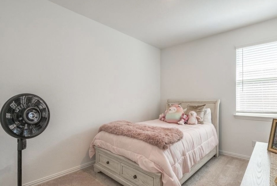 8424 Gray Squirrel Lane