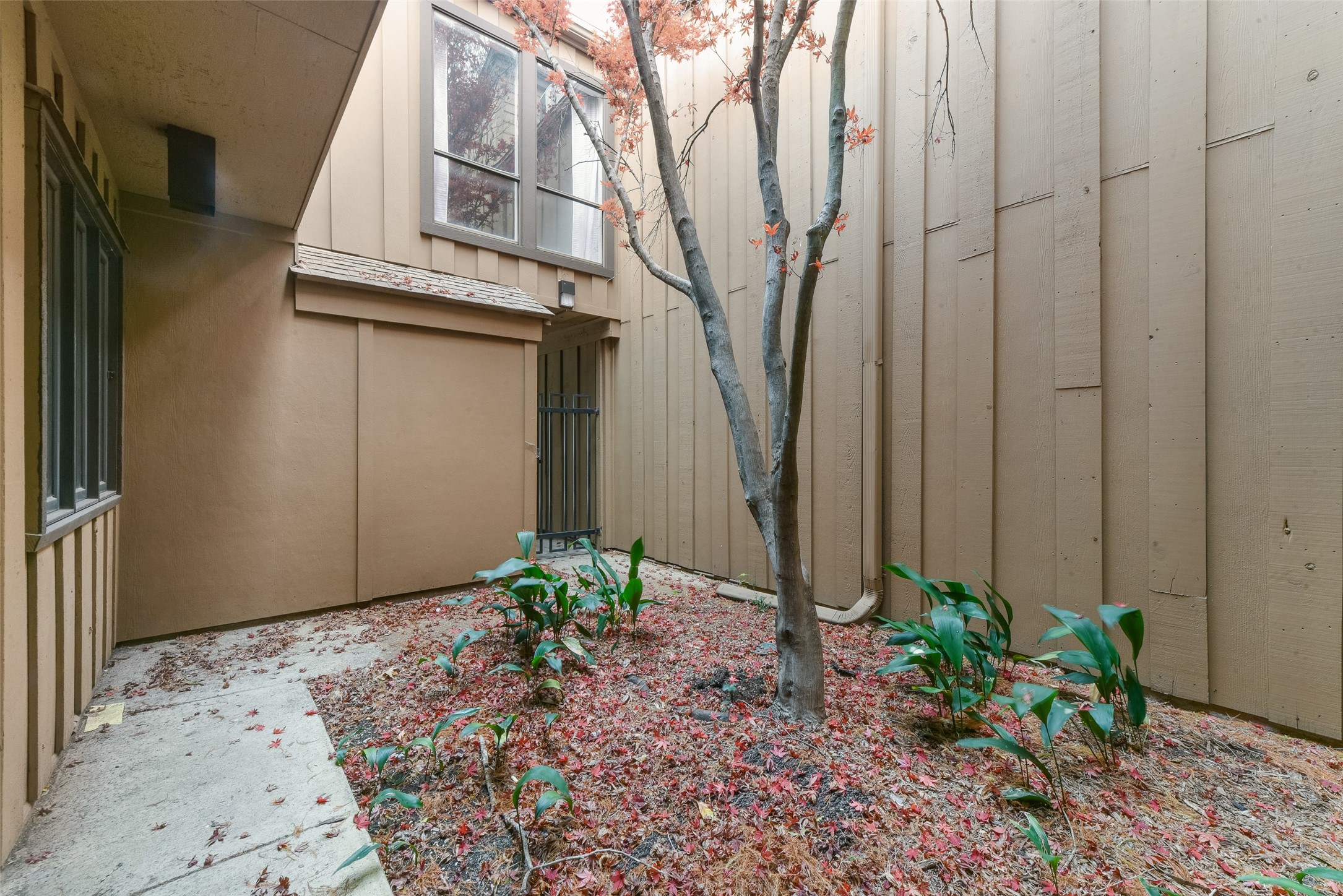 3161 Golden Oak