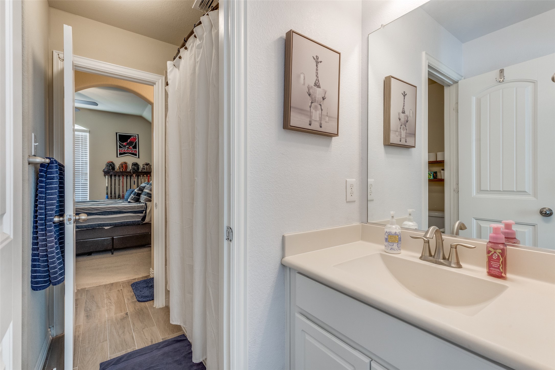 14621 San Madrid Trail