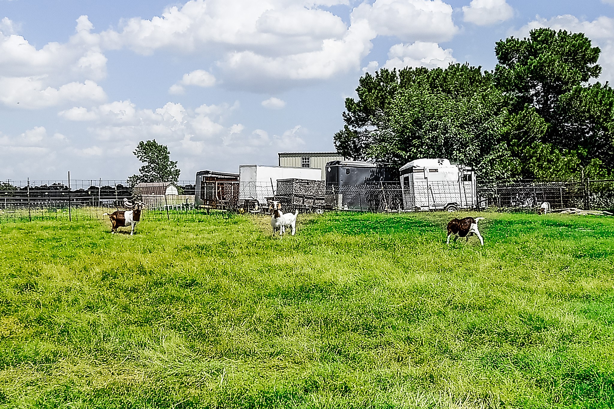 365 Country Lane