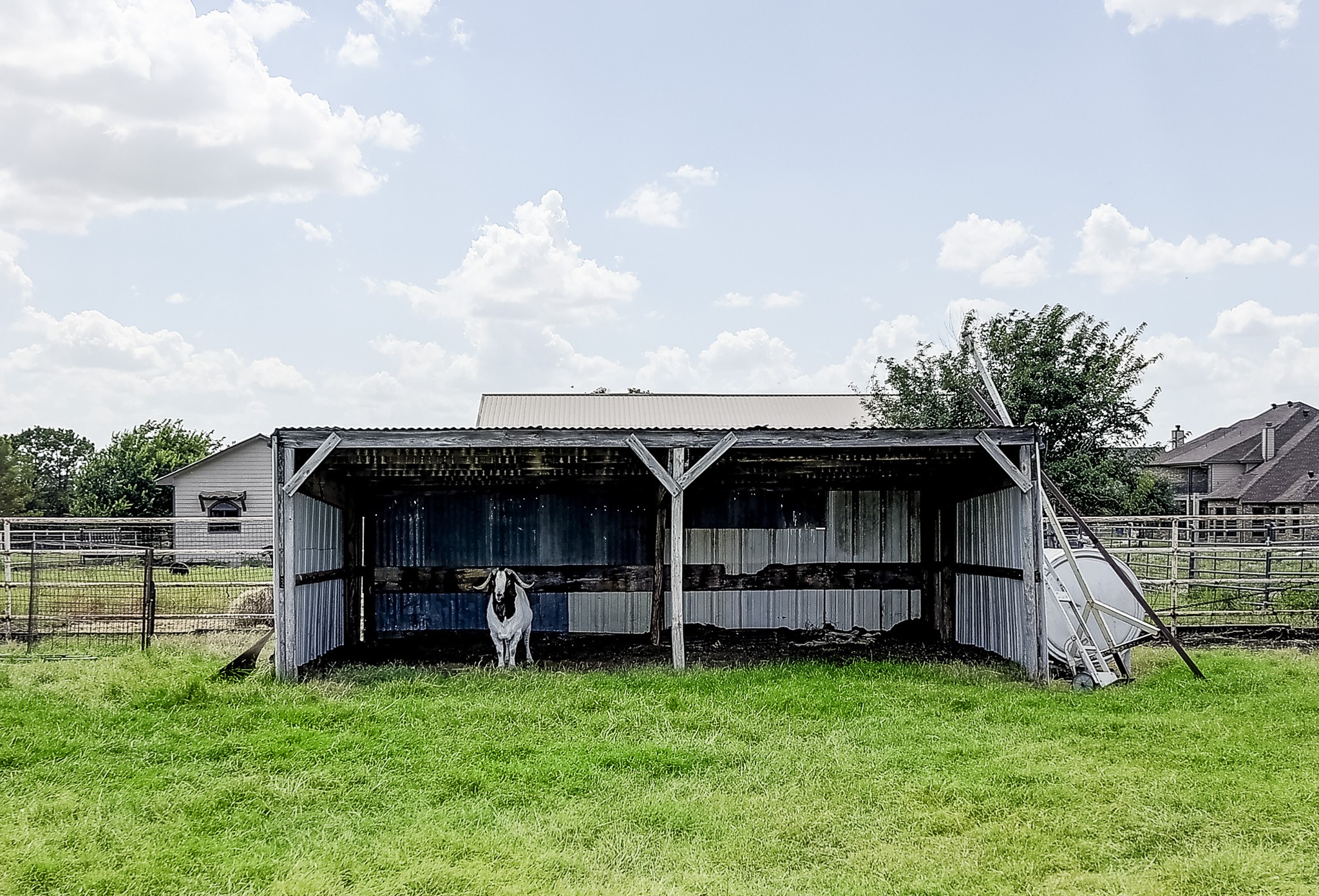 365 Country Lane