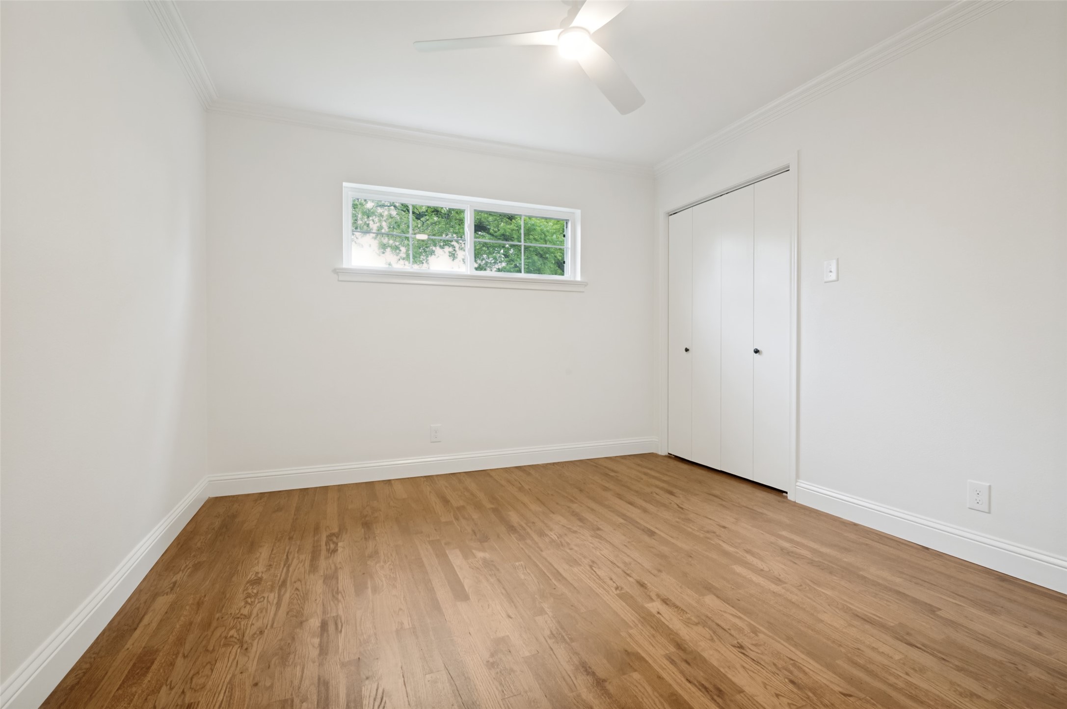 705 Tarryall Drive