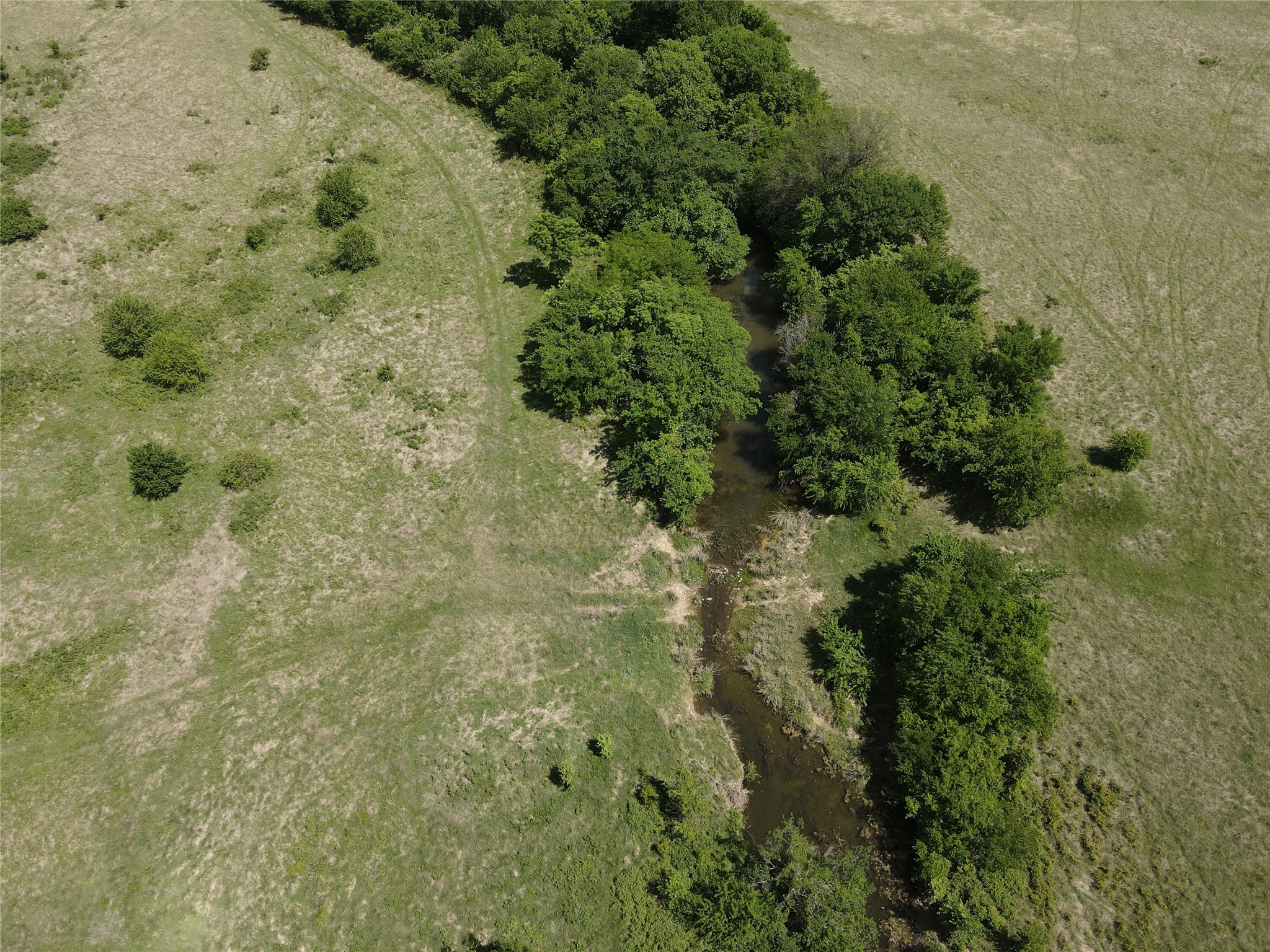TBD 50 Acres FM 1173