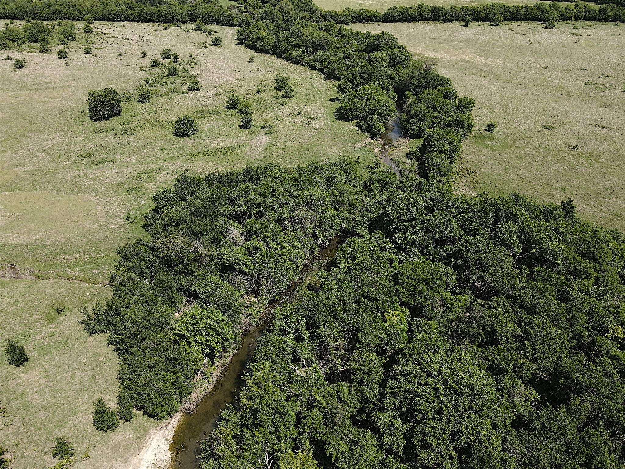 TBD 50 Acres FM 1173