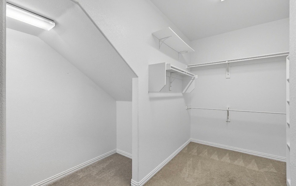 2509 Castle Creek Drive