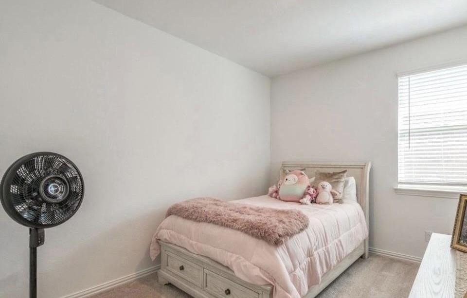 8424 Gray Squirrel Lane