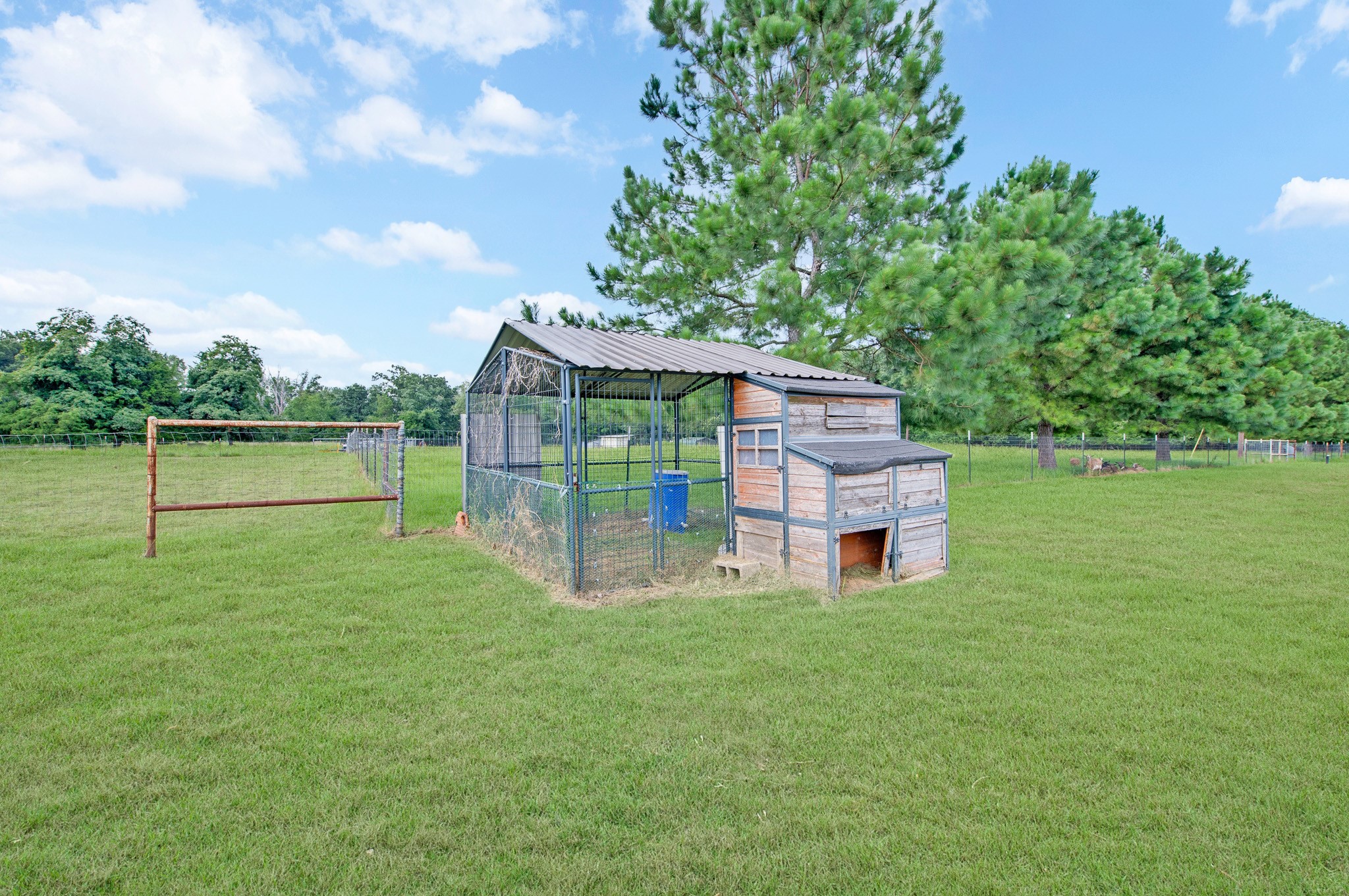 923 County Road 2415