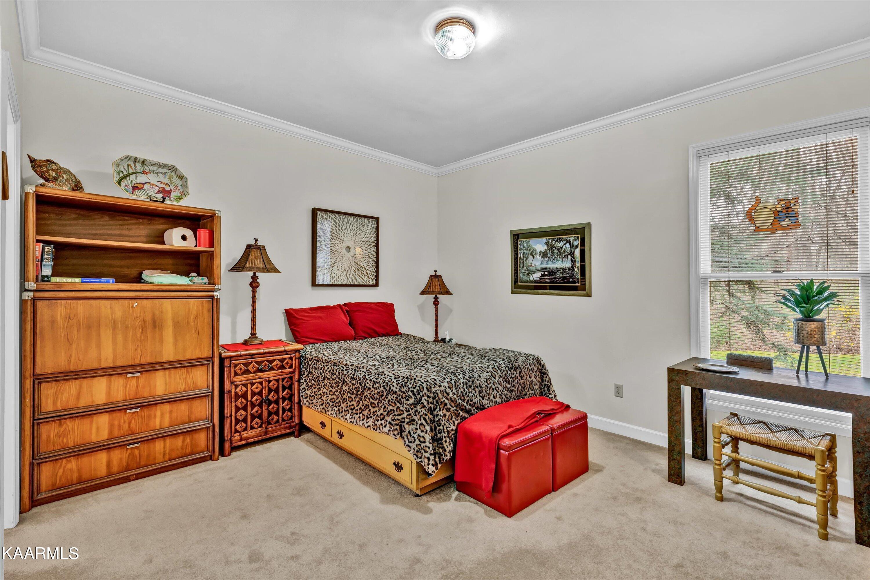 923 Shade Tree Lane