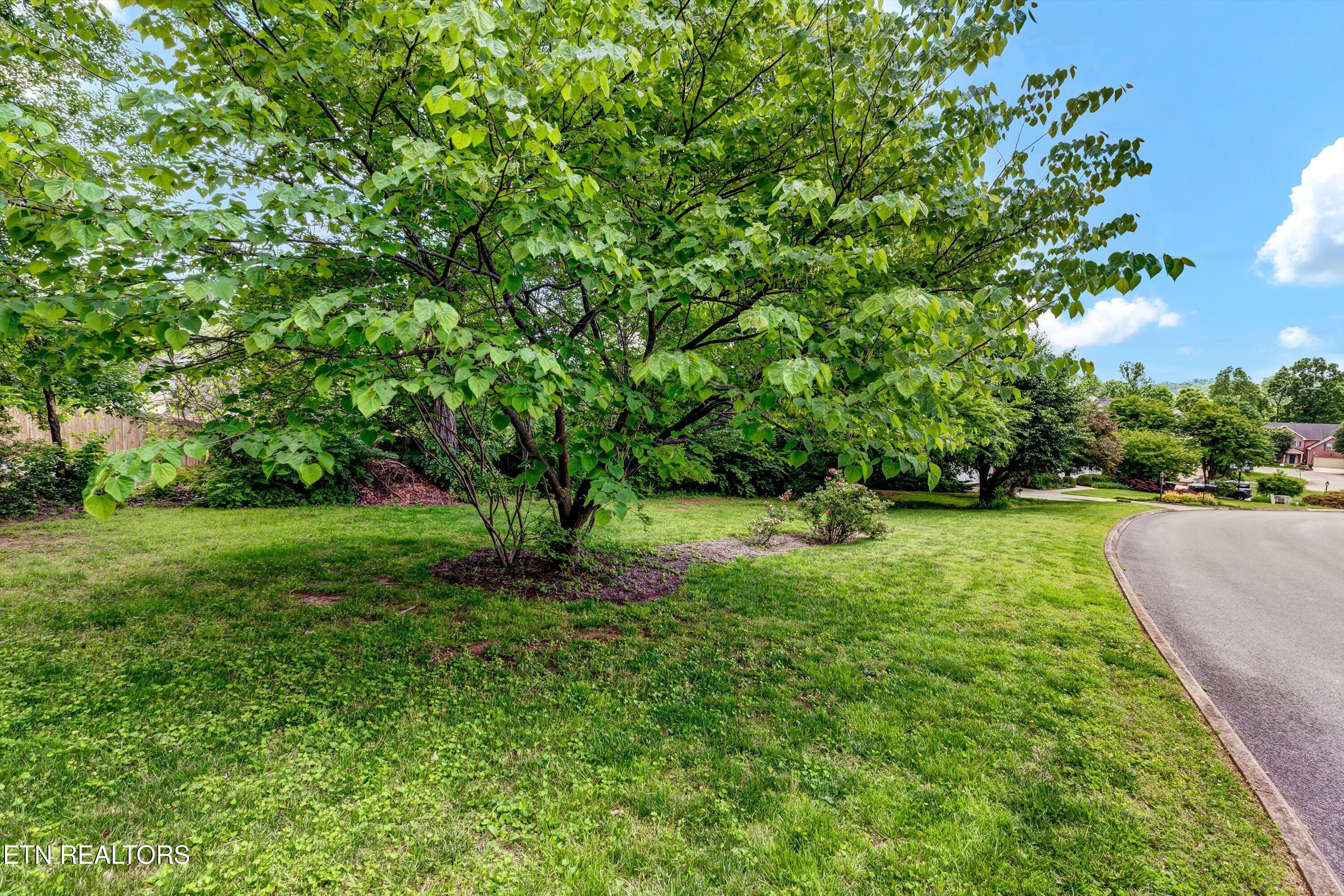 714 Cambridge Crest Lane