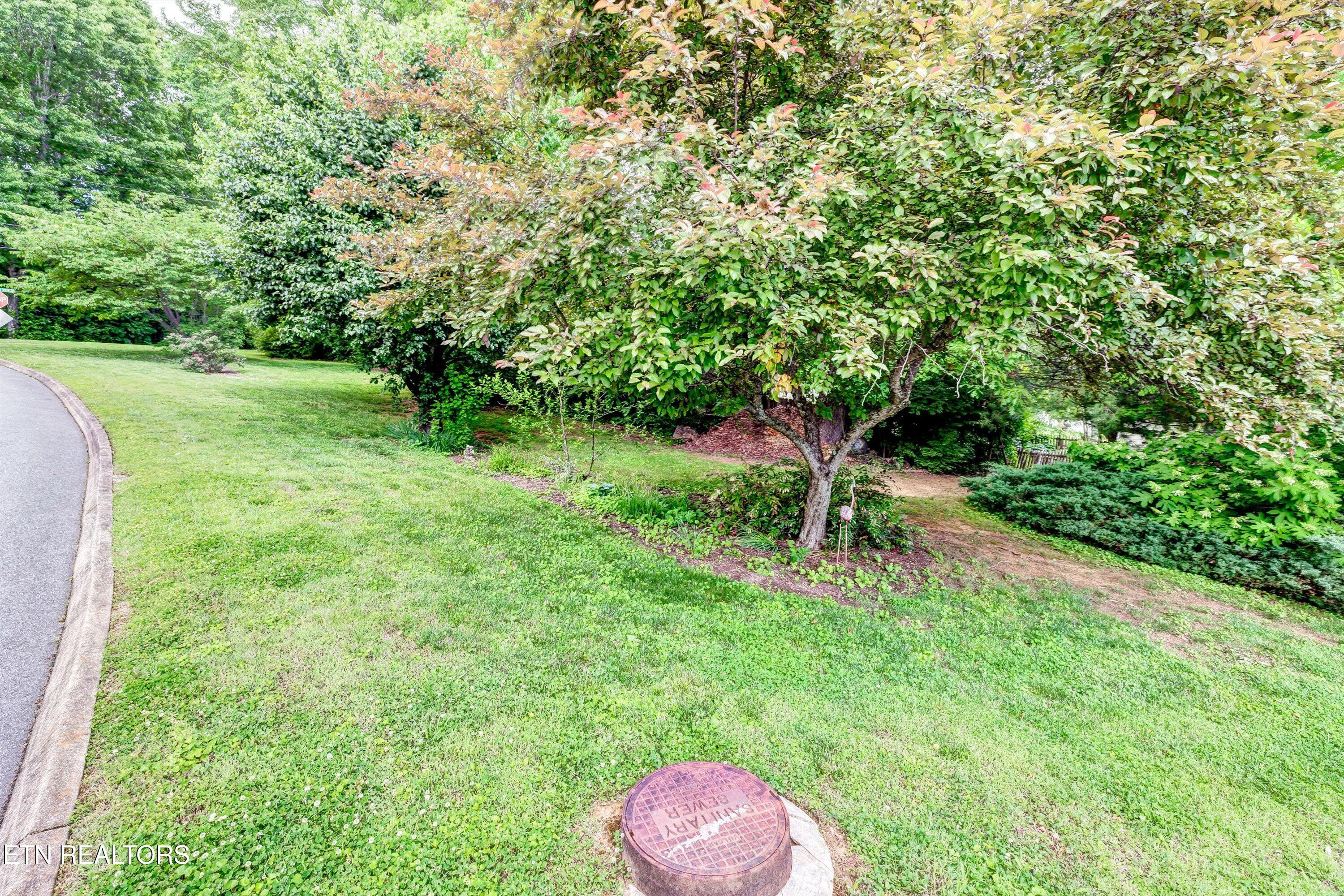 714 Cambridge Crest Lane