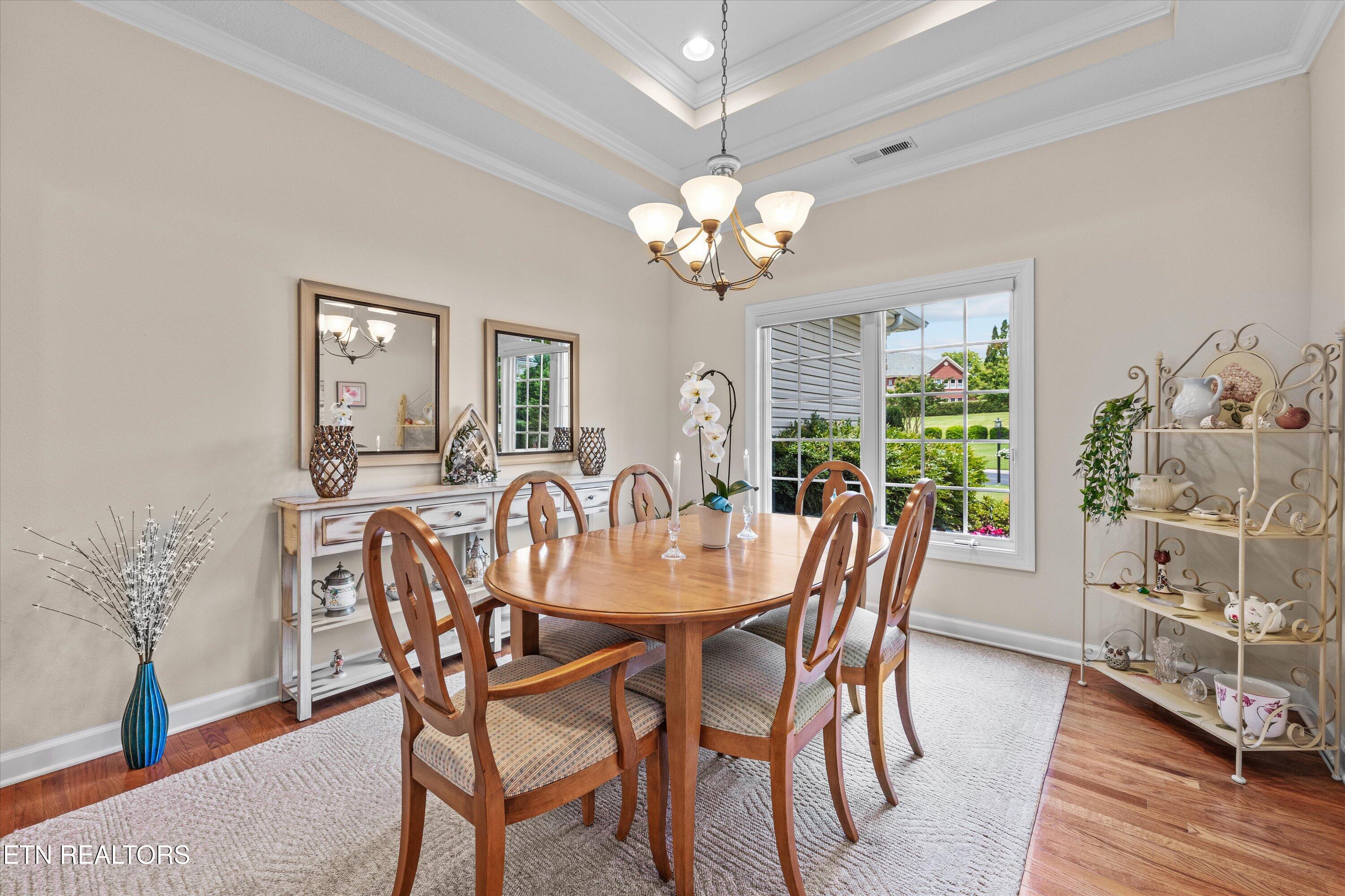 208 Chota Landing View