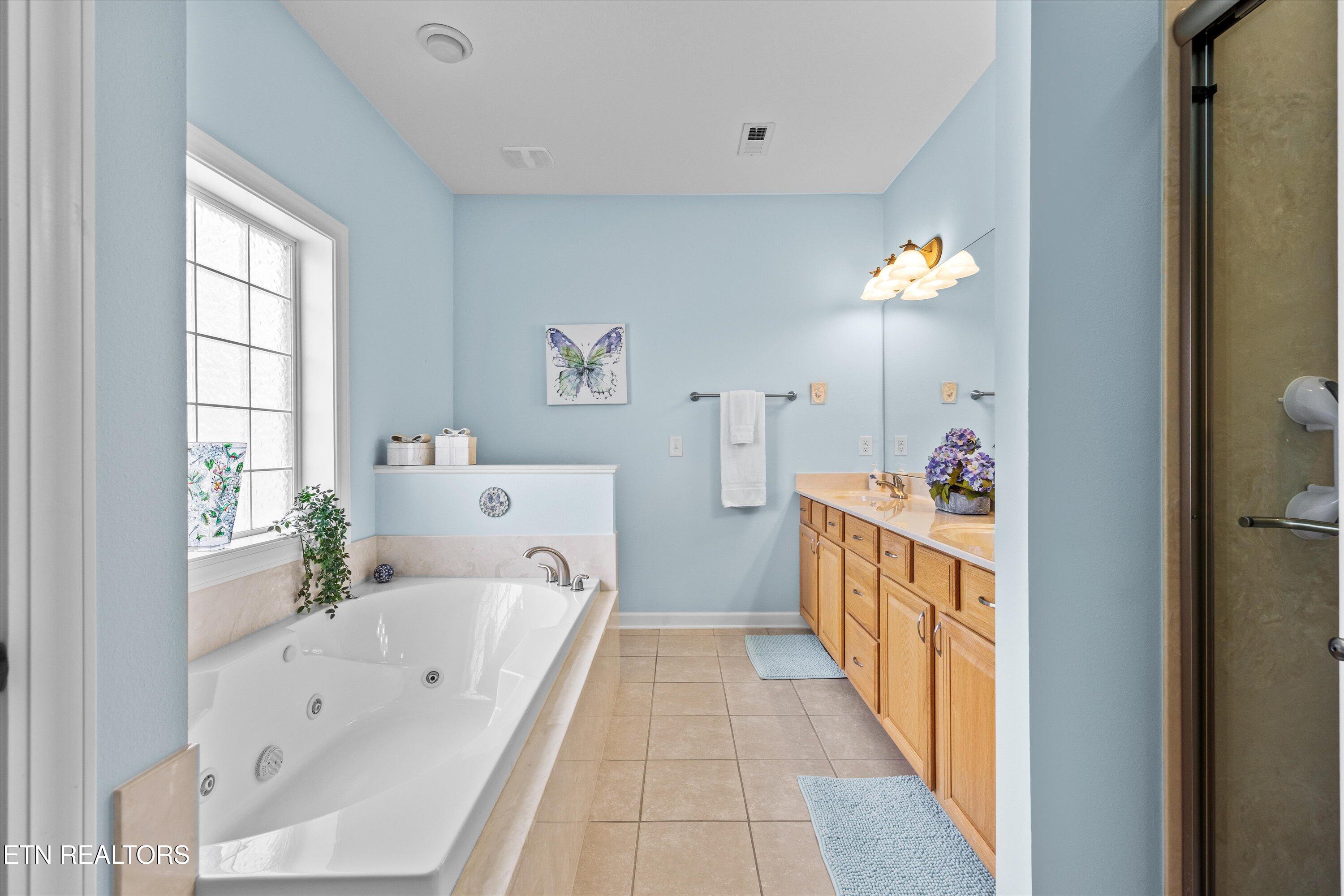 208 Chota Landing View