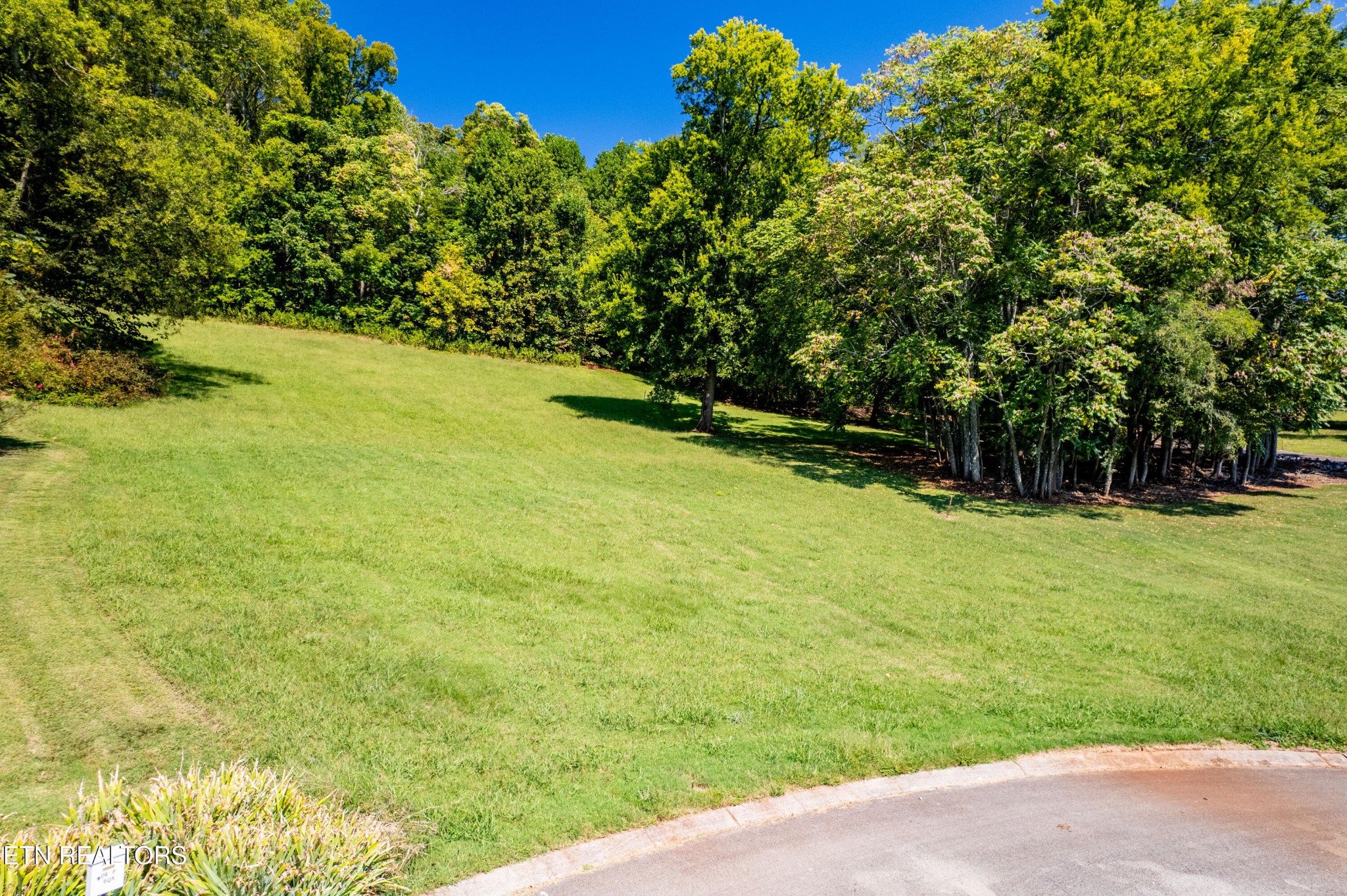 300 Franklin Estates Lane