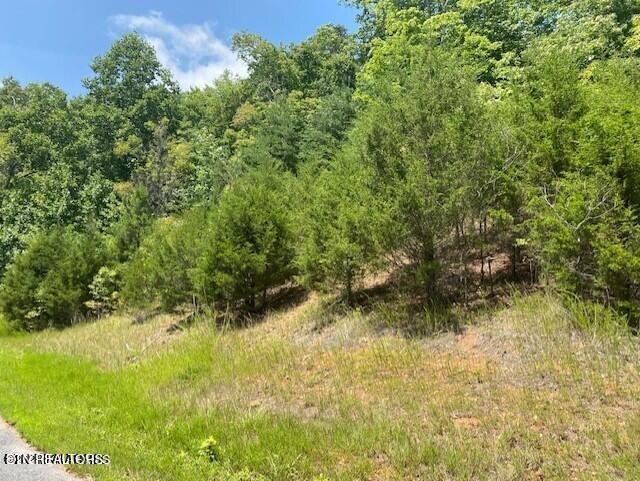 492 Citron Lane