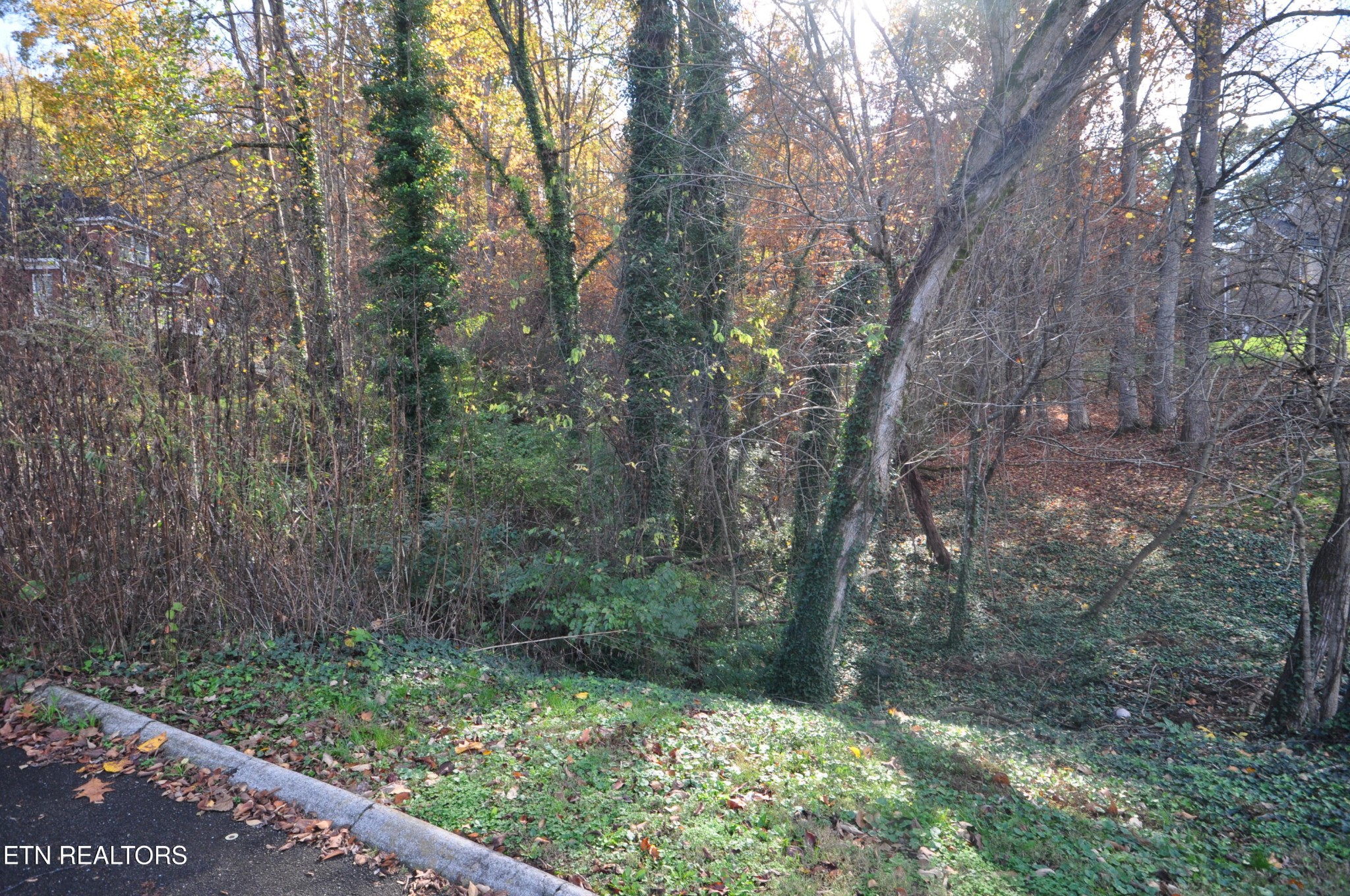 0 Arapahoe Lane