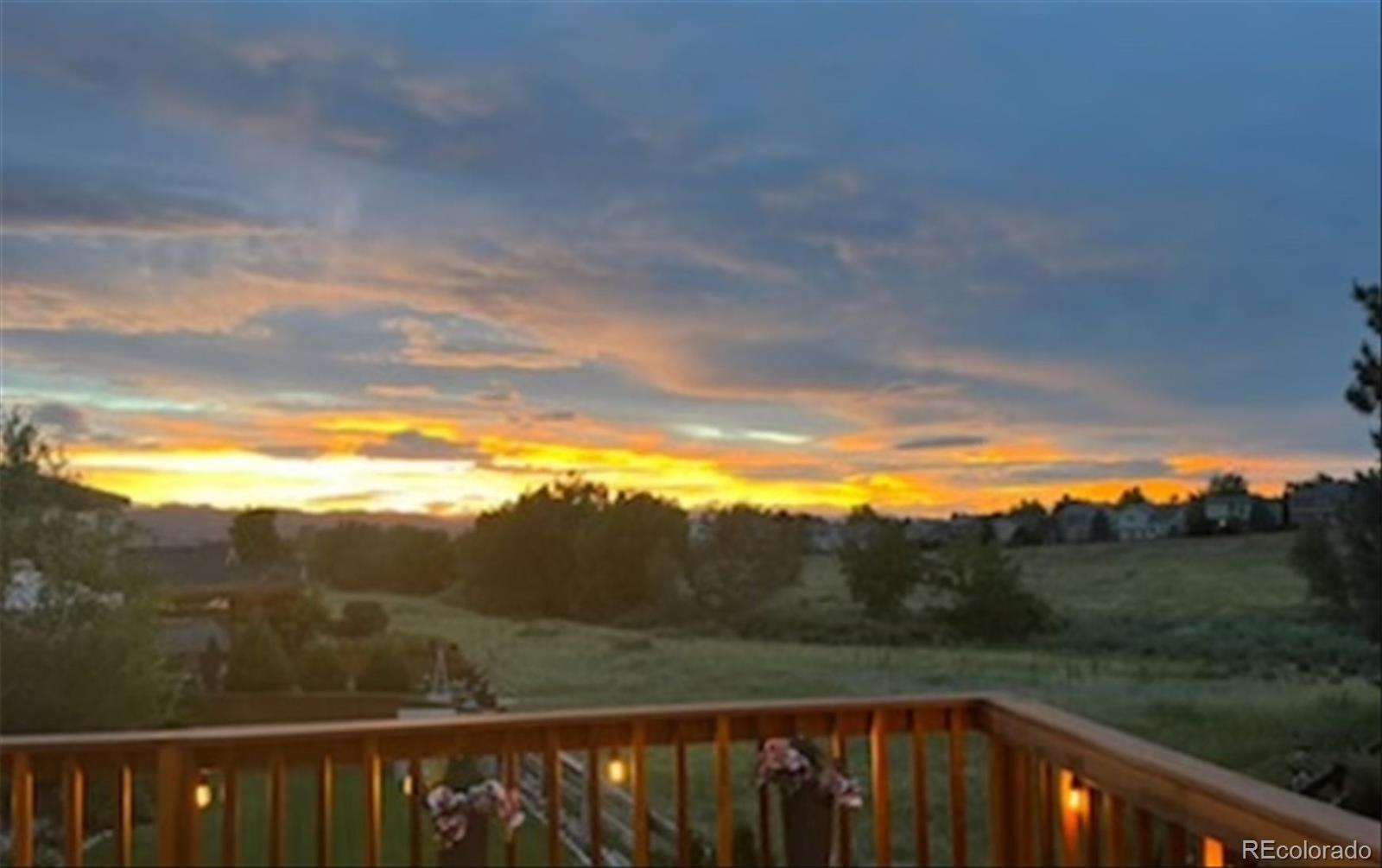 10073 Savannah Sparrow Court