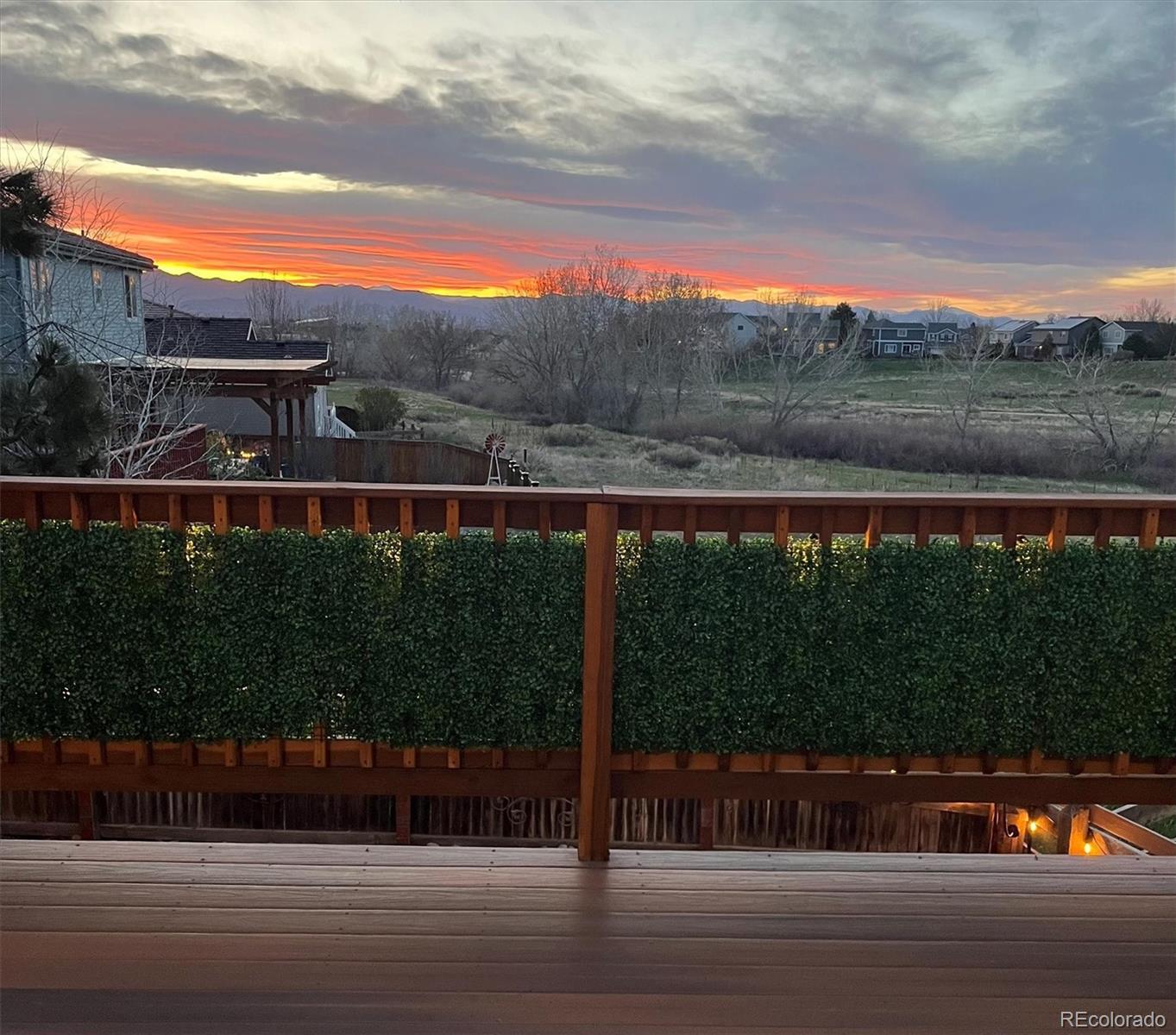 10073 Savannah Sparrow Court