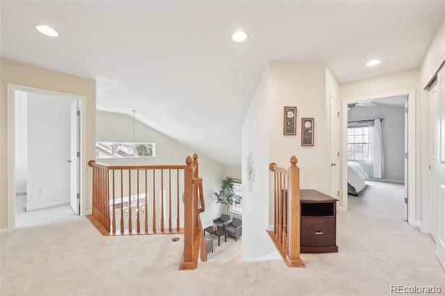 5465 Tall Spruce Street
