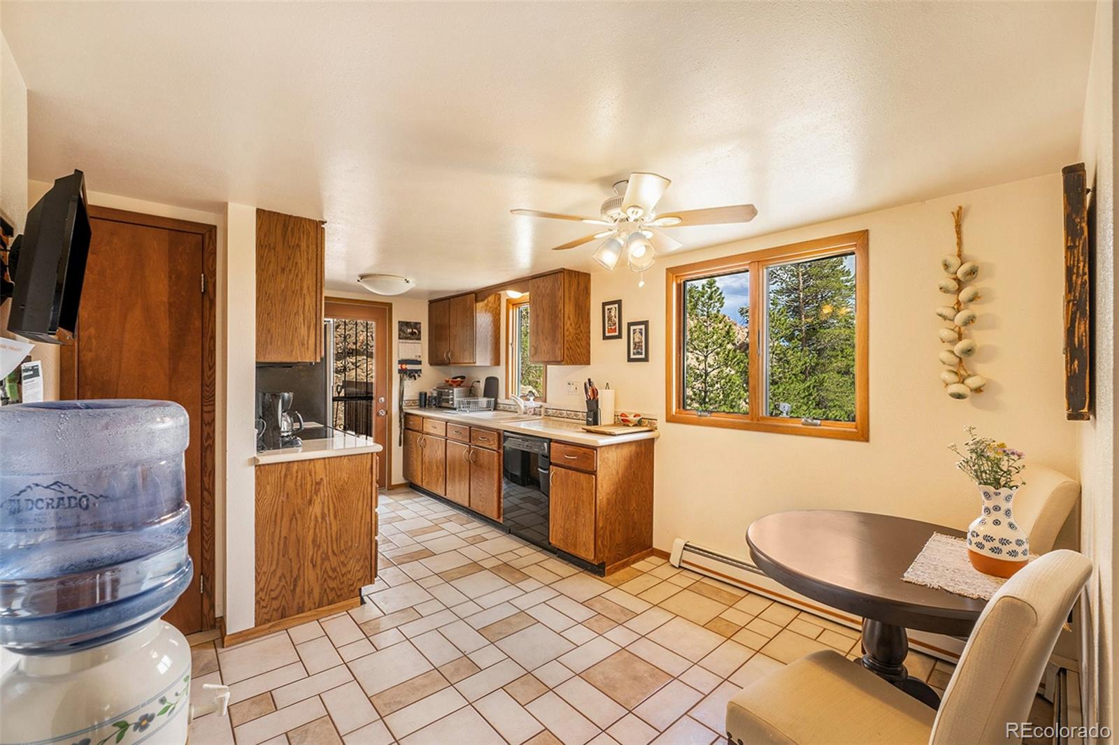 10387 Horizon View Drive