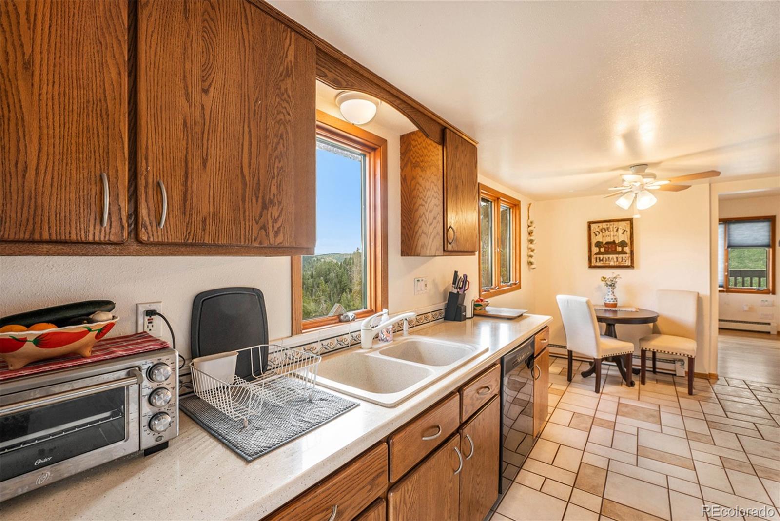 10387 Horizon View Drive