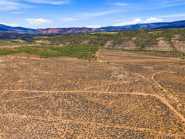 40 Acre To Be Determined