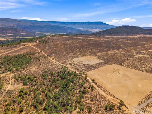 40 Acre To Be Determined