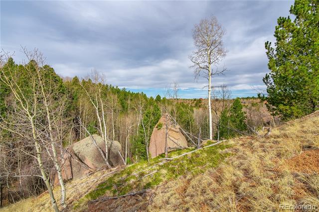 130 Grey Eagle Way