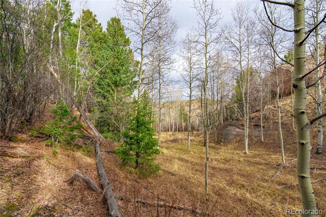 130 Grey Eagle Way