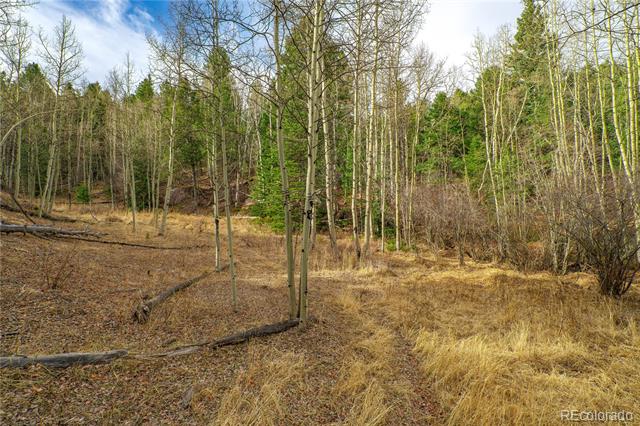 130 Grey Eagle Way